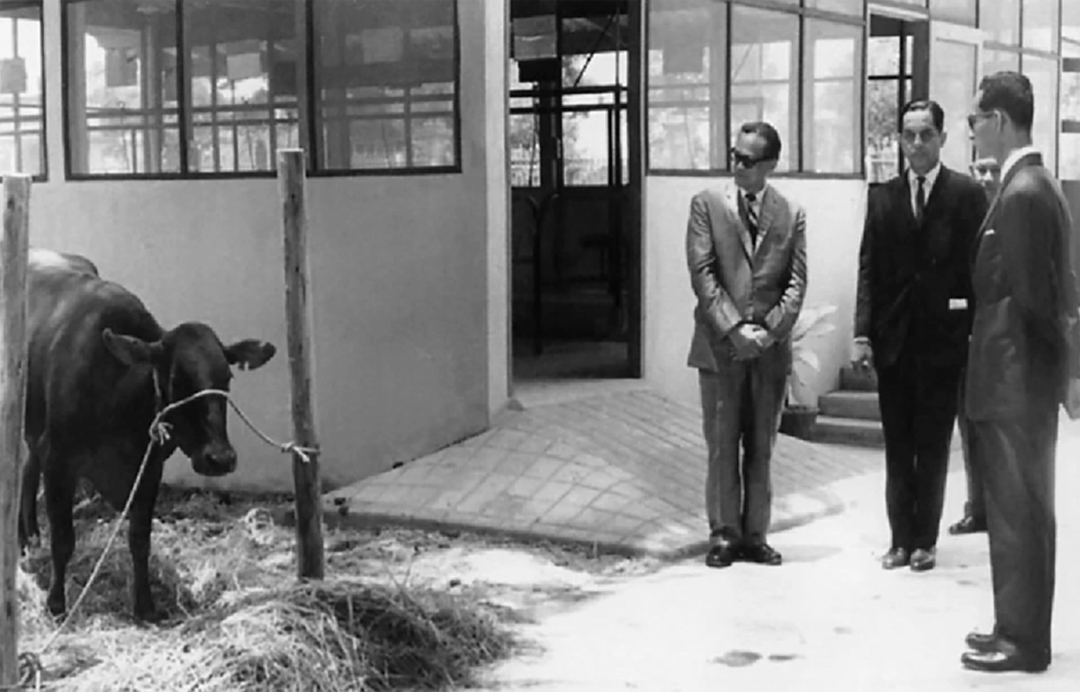 ซาบซึ้งในพระมหากรุณาธิคุณ!! เผย ๕ ยี่ห้อ นมโครงการพระราชดำริ ที่ ในหลวง ร.๙ พระบิดาแห่งการโคนมไทย ทรงพระราชทานให้ลูกหลานชาวไทย!!!