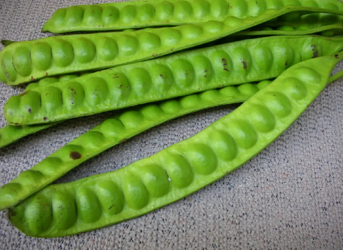 รู้ไหมว่า "สะตอ" มีประโยชน์มากมาย  แต่ถ้ายังไม่กล้าทาน เรามีวิธีจัดการกับกลิ่นของมัน ที่จะทำให้คุณไม่ต้องกังวลอีกต่อไป