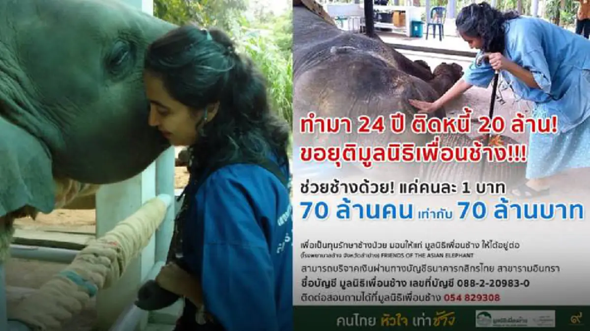 น้ำใจไทยยิ่งใหญ่ที่สุด!!! "โซไลดา" ตื้นตันกลั้นน้ำตาไม่อยู่! หลังคนไทยระดมทุนช่วยบริจาค "มูลนิธิเพื่อนช้าง" ยอดพุ่งกว่า 20 ล้าน!!!