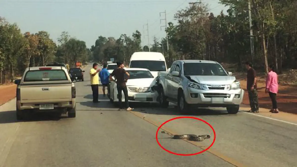 *ลุ้นมีโชครวยทรัพย์!!! เปิดลางบอกเหตุก่อนถูกหวย ถ้าฝันแบบนี้คุณมีสิทธิ์ซื้อหวยแล้วได้รางวัลใหญ่ เช็กเลย! เผื่อคุณเป็นมหาเศรษฐีคนต่อไป!!! (คลิป)