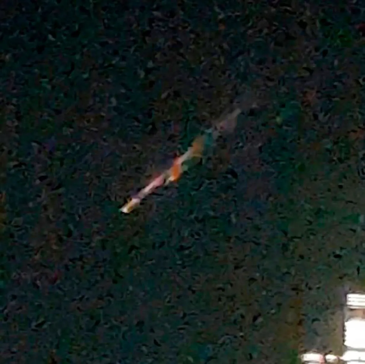 พบแสงลึกลับ !!! บนท้องฟ้าสหรัฐอาหรับเอมิเรตส์ ลือสถานีอวกาศเสีย พุ่งตกมายังโลก (มีคลิป)