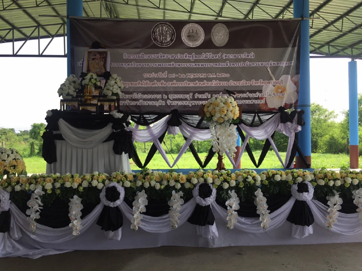ร่วมถวายความอาลัย!! จ.สุพรรณบุรี ดีเดย์พร้อมกันทั่วประเทศ จัดฝึกอบรมจิตอาสาประดิษฐ์ดอกดารารัตน์ ๔ แสนดอก ถวายพระเพลิงพระบรมศพ ในหลวง ร.๙ !!
