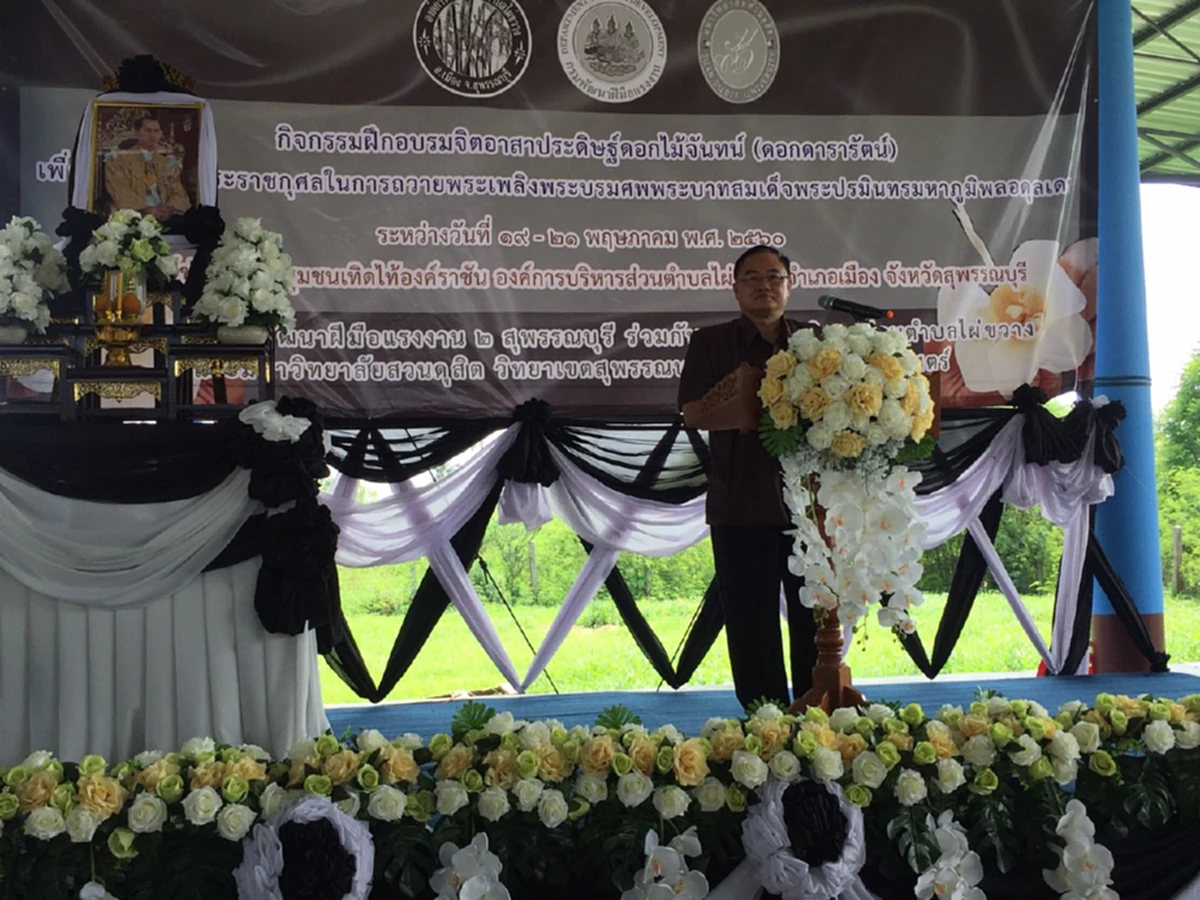 ร่วมถวายความอาลัย!! จ.สุพรรณบุรี ดีเดย์พร้อมกันทั่วประเทศ จัดฝึกอบรมจิตอาสาประดิษฐ์ดอกดารารัตน์ ๔ แสนดอก ถวายพระเพลิงพระบรมศพ ในหลวง ร.๙ !!