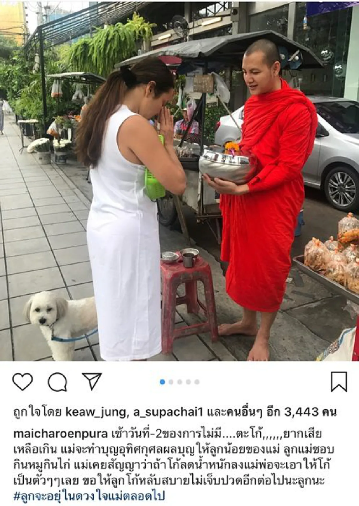 ร้องไห้แทบขาดใจ! ใหม่ เจริญปุระ ทรุดลงไปกอด ร่างไร้วิญญาณ ตะโก้ สุนัขแสนรัก