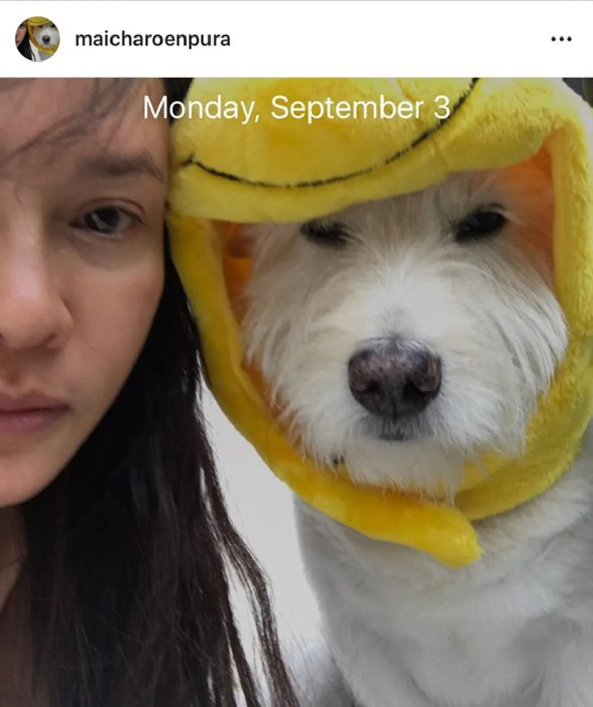 ร้องไห้แทบขาดใจ! ใหม่ เจริญปุระ ทรุดลงไปกอด ร่างไร้วิญญาณ ตะโก้ สุนัขแสนรัก