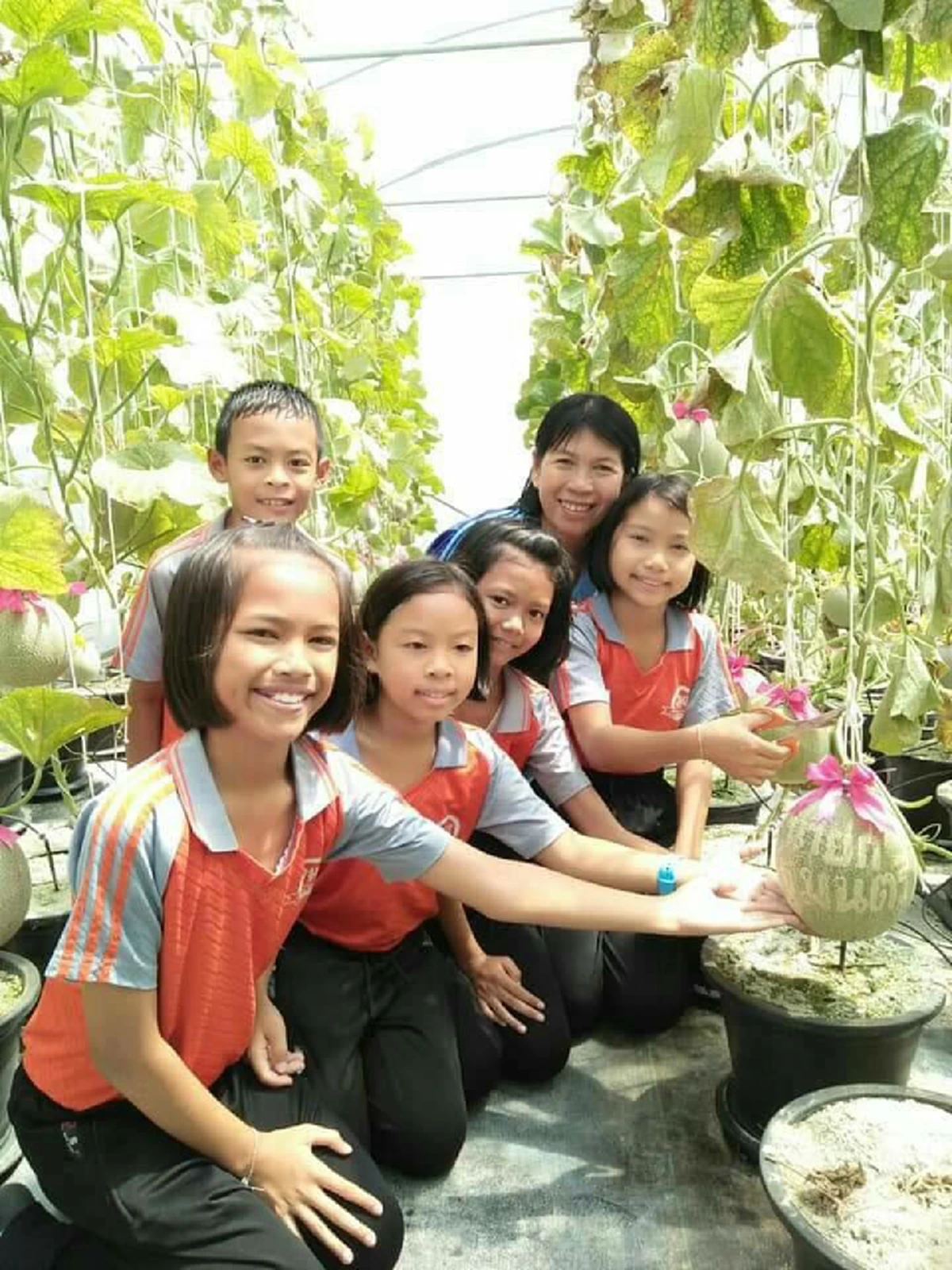 ไอเดียล้ำ !!! นร.รร.วัดเกาะ จ.ระยอง ปลูกเมล่อน  ประทับตรานายกรัฐมนตรี  เริ่มออกผลผลิตมาให้ได้กินแล้ว