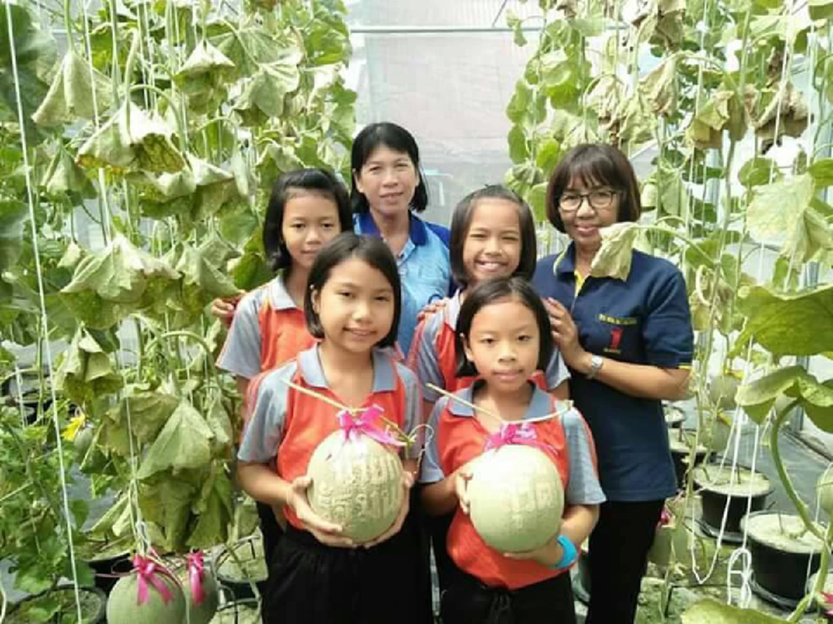 ไอเดียล้ำ !!! นร.รร.วัดเกาะ จ.ระยอง ปลูกเมล่อน  ประทับตรานายกรัฐมนตรี  เริ่มออกผลผลิตมาให้ได้กินแล้ว