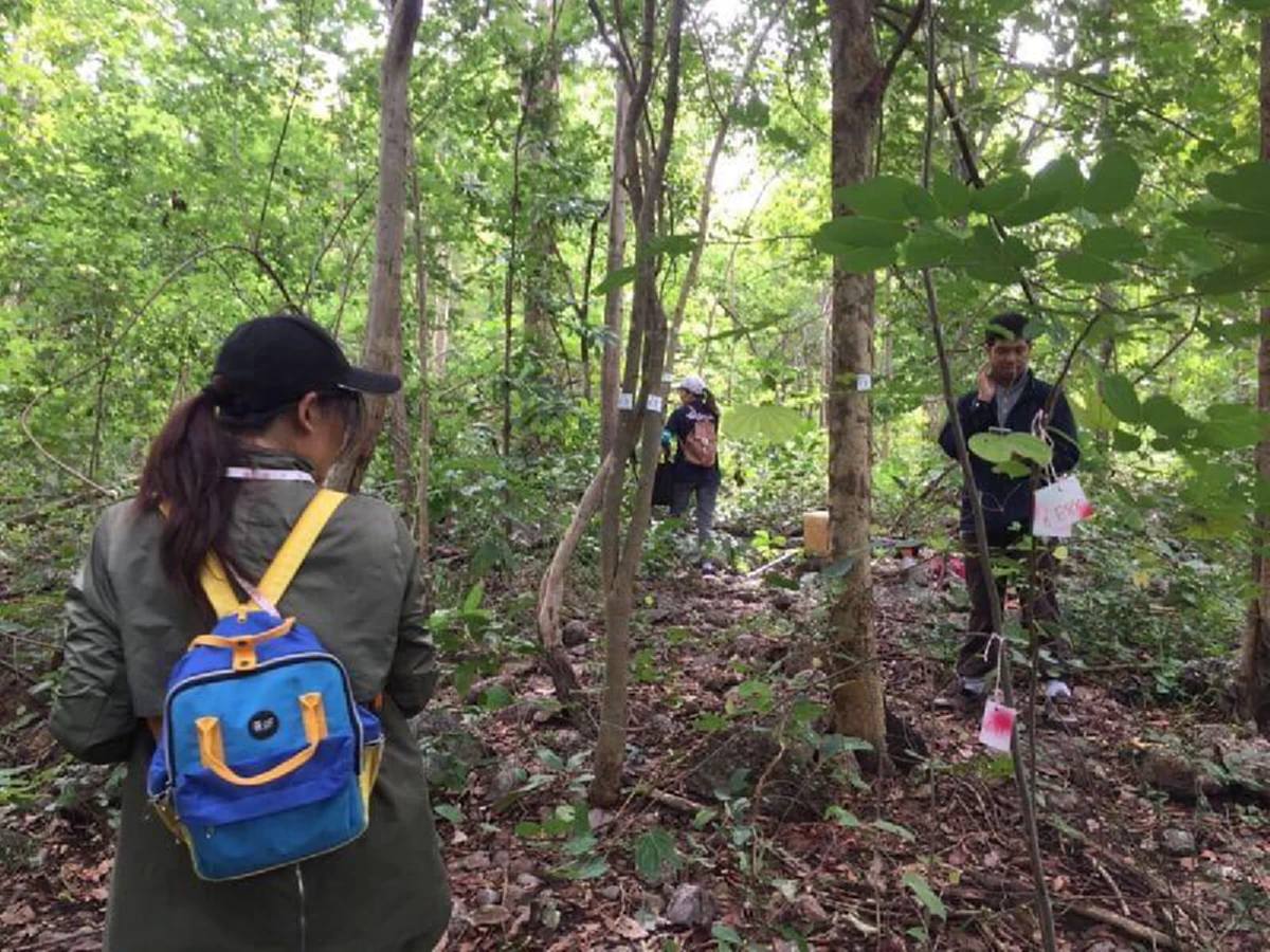 "จิสด้า" จับมือมูลนิธิแม่ฟ้าหลวง ตรวจวัด "คาร์บอนเครดิต" พื้นที่ป่าเชียงราย - น่าน แก้โลกร้อน