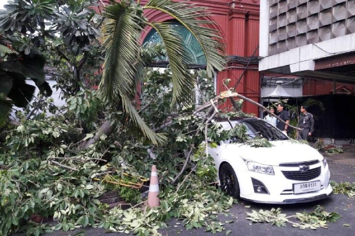 ไม่เชื่ออย่าลบหลู่!! ต้นงิ้วสภาฯกว่า 100 ปีหักโค่น “ลางบอกเหตุ” เคยเตือนรัฐบาล “ยิ่งลักษณ์”มาแล้ว“บิ๊กตู่” อย่าประมาท
