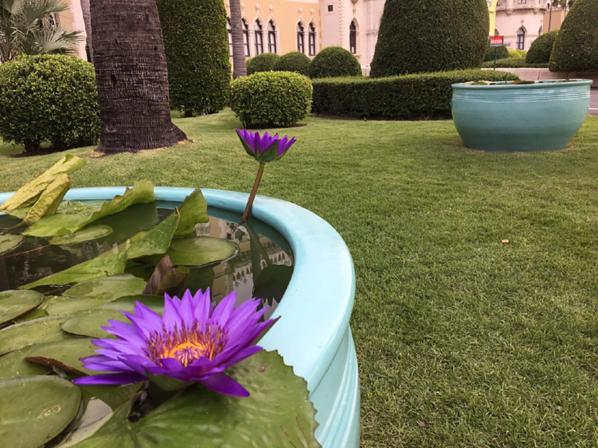 “เปลี่ยนอ่างบัวทำเนียบฯ”สำคัญไฉน “บิ๊กตู่” ถึงควักกระเป๋าเองอ่าน!! สีในหลัก“ฮวงจุ้ย”