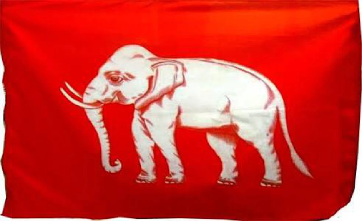 ช้างสยาม...จากป่าสู่วัง ... สู่ช้างคู่แผ่นดิน