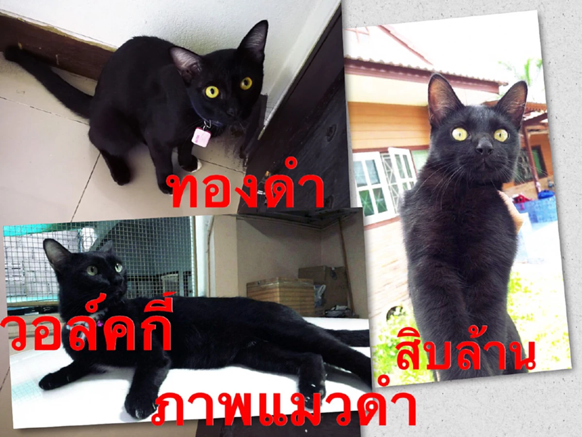 "ความเชื่อ" ศาสตร์ที่ลี้ลับสำหรับมนุษยชาติทุกศาสนา!!! "ไทย-กัมพูชา"มีความละม้ายคล้ายกันสุดๆ...ไม่เชื่ออย่าลบหลู่