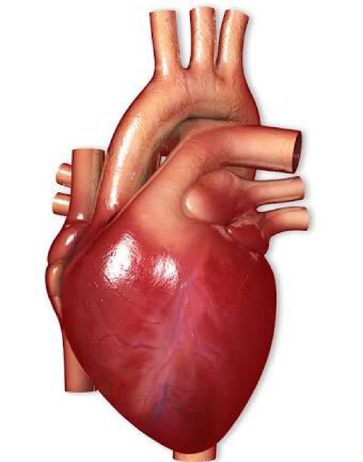 ใช่รึ?...เกลือเค็มเพราะ"ลิ้น"!!! คุณอนันต์-โทษมหันต์ของเกลือ. ...เหตุใดจึงนำเอาความเค็มไปเปรียบกับสตรีที่ไม่"อิ่มรัก"?