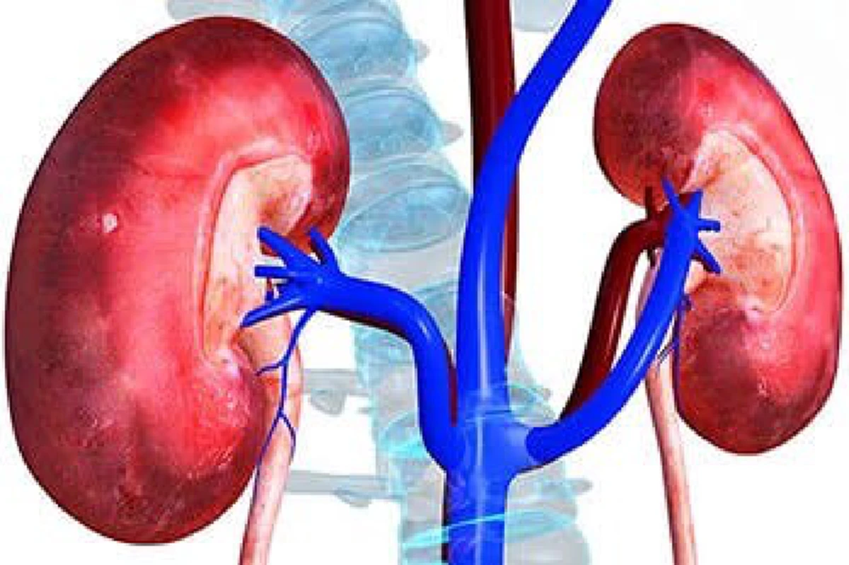 ใช่รึ?...เกลือเค็มเพราะ"ลิ้น"!!! คุณอนันต์-โทษมหันต์ของเกลือ. ...เหตุใดจึงนำเอาความเค็มไปเปรียบกับสตรีที่ไม่"อิ่มรัก"?