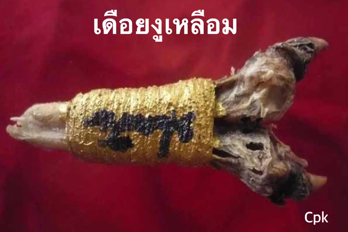 ลี้ลับมหัศจรรย์! "เครื่องรางอาถรรพ์"..."ของขลังแปลกสุด"มีดีอะไร? คนไทยจึงแสวงหาไว้ครอบครอง. ป้องกันคุ้มภัยได้จริง...ฤาเป็นแค่เพียงคำกล่าว?