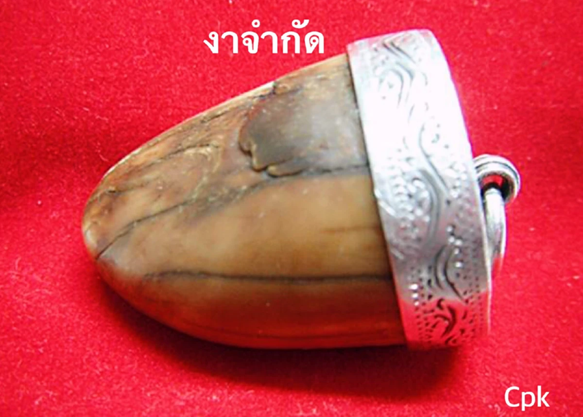 จะใช้"เครื่องรางอาถรรพ์-ของขลัง"ต้องปฏิบัติให้ถูกวิธี! "งากำจัด-งาช้างน้ำ-กระดูกงูเหลือม-คดขนุน-คดมะพร้าว-เค็งเป็นเหล็ก"หาได้ยาก! ที่เห็นส่ว