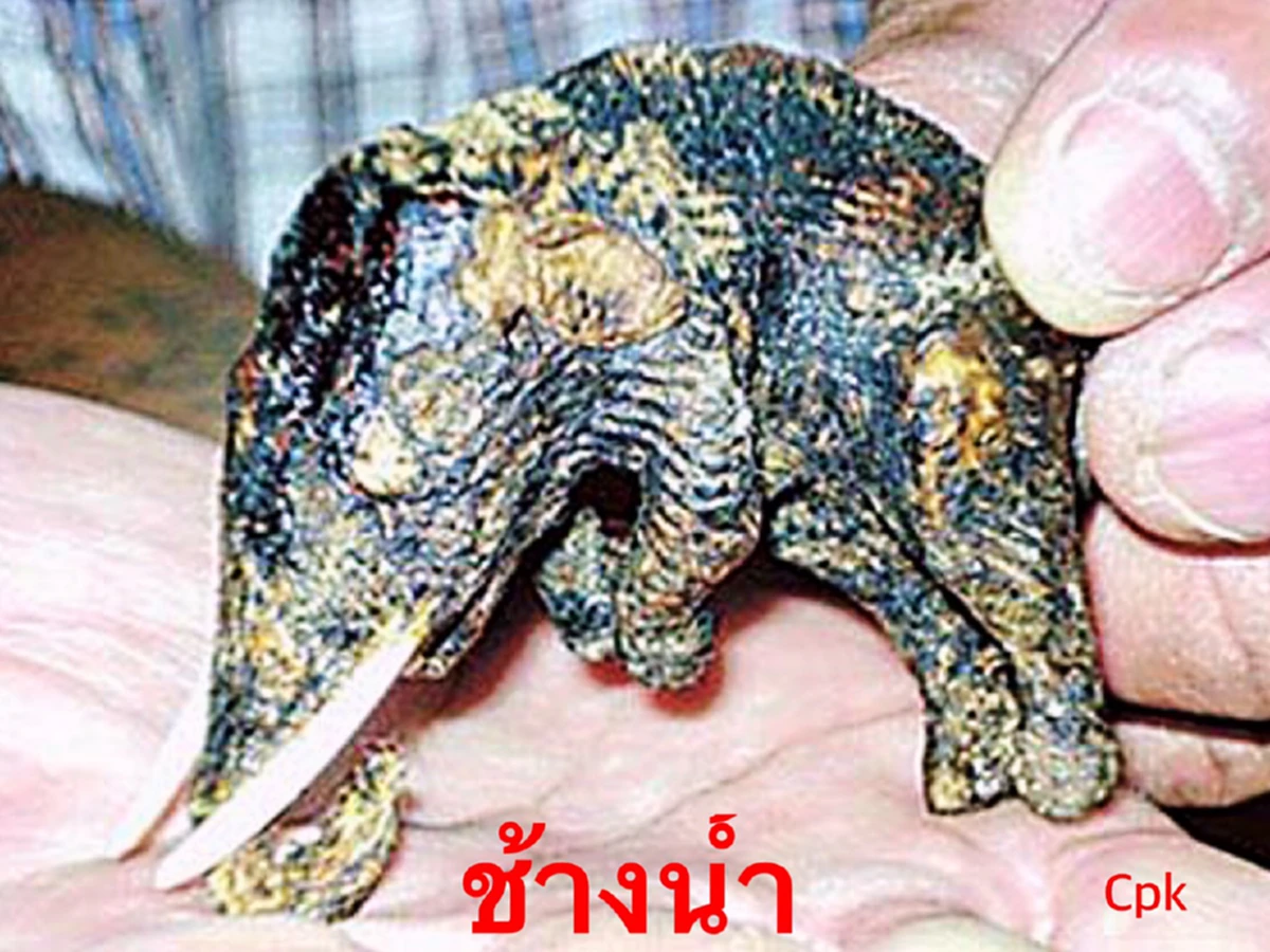 จะใช้"เครื่องรางอาถรรพ์-ของขลัง"ต้องปฏิบัติให้ถูกวิธี! "งากำจัด-งาช้างน้ำ-กระดูกงูเหลือม-คดขนุน-คดมะพร้าว-เค็งเป็นเหล็ก"หาได้ยาก! ที่เห็นส่ว