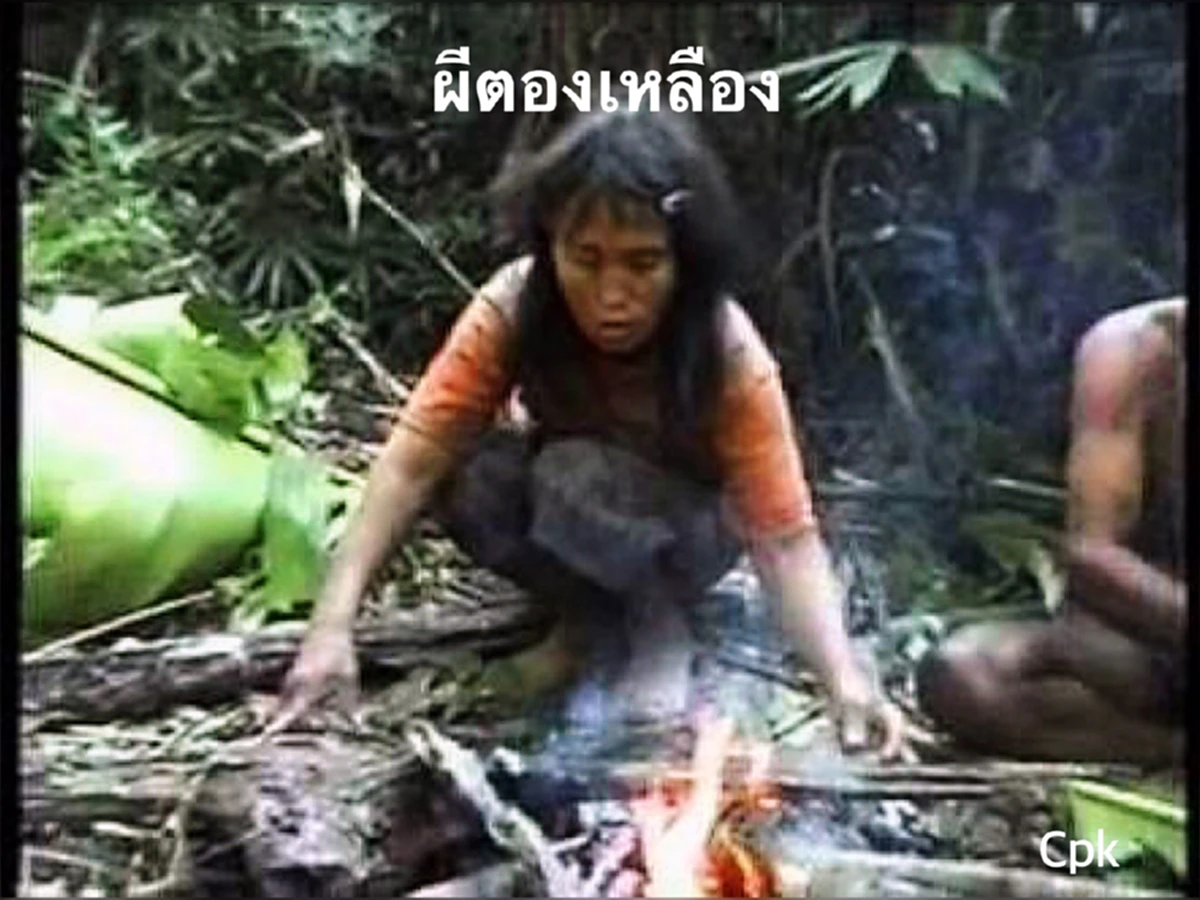 ไขข้อสงสัย ความ"สับสน""ผีตองเหลือง"..ผี หรือ คน? ที่คั่งค้างคาใจกันอยู่ในสังคมปัจจุบัน