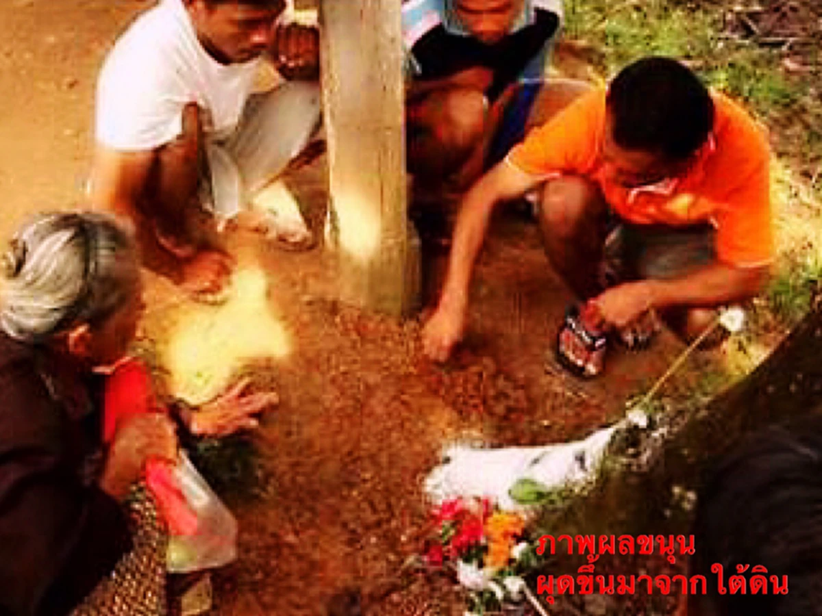 "คดขนุน" เม็ดผลไม้อาถรรพ์!!!  หนึ่งในเครื่องรางของขลังธรรมชาติ..ให้พลังคุ้มกันภยันตราย บันดาลโชคลาภ บันดาลทรัพย์ อยู่ยงคงกระพัน