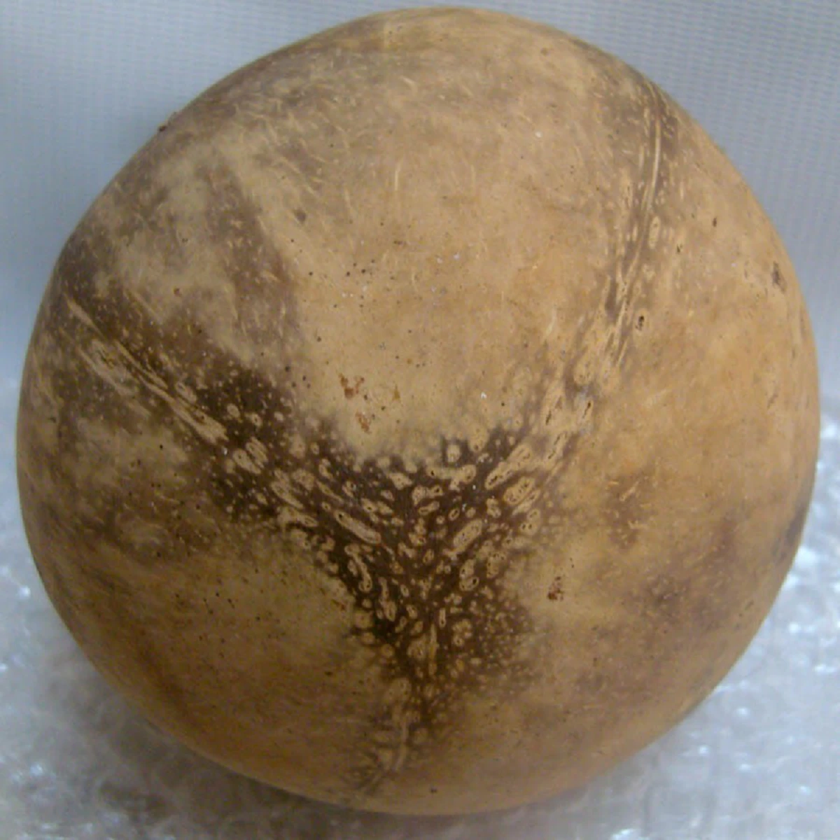 อาถรรพ์!!  "กะลามหาอุตม์"(กะลาไม่มีตา) จากธรรมชาติ เป็นของทนสิทธิ์!!.. สุดขลัง คุ้มกันภัยให้โชคลาภ...หายากสุด. (รายละเอียด)