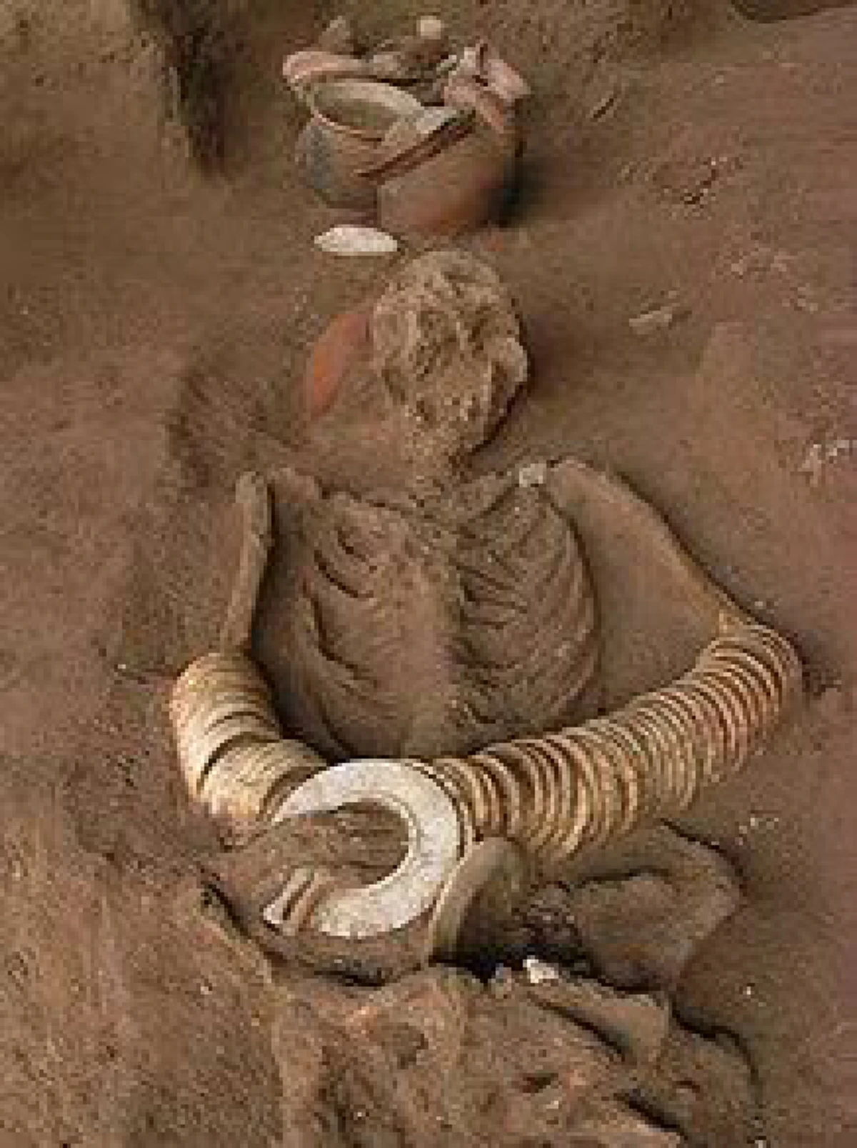 "วัตถุโบราณ" 2 หมื่นปีก่อนประวัติศาสตร์ระบุ..."ไทย"ถิ่นกำเนิดกสิกรรมของโลก!!! จริงรึ?.... (รายละเอียด)