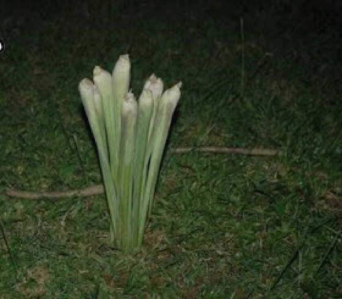 ความเชื่อ! เผยตำนานลี้ลับคนโบราณ"ห้ามลม-ห้ามฝน"!!!  ทำได้จริงหรือเรื่องเล่า...ด้วยกรรมพิธีใด? (รายละเอียด)