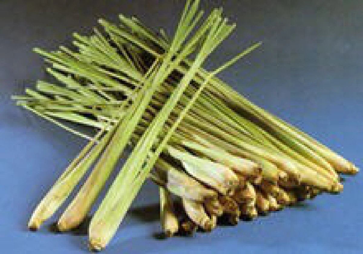 ความเชื่อ! เผยตำนานลี้ลับคนโบราณ"ห้ามลม-ห้ามฝน"!!!  ทำได้จริงหรือเรื่องเล่า...ด้วยกรรมพิธีใด? (รายละเอียด)