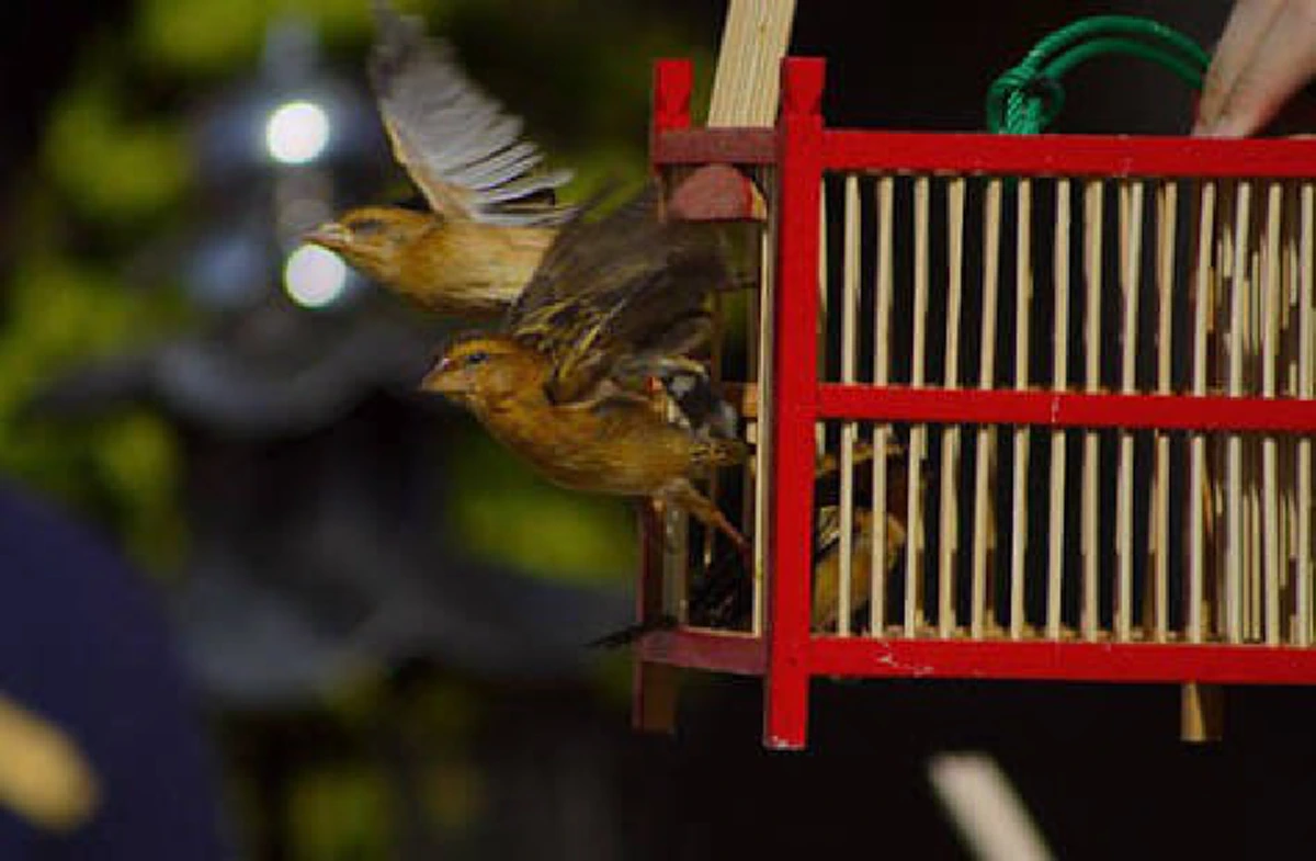 แนะ…”วิธีการสะเดาะเคราะห์ “ด้วยตัวเอง!!แบบง่ายๆแต่สยบแรงอาถรรพ์พระเคราะห์อยู่หมัด!!!..มีวิธีการอย่างไร? (อ่านรายละเอียด)