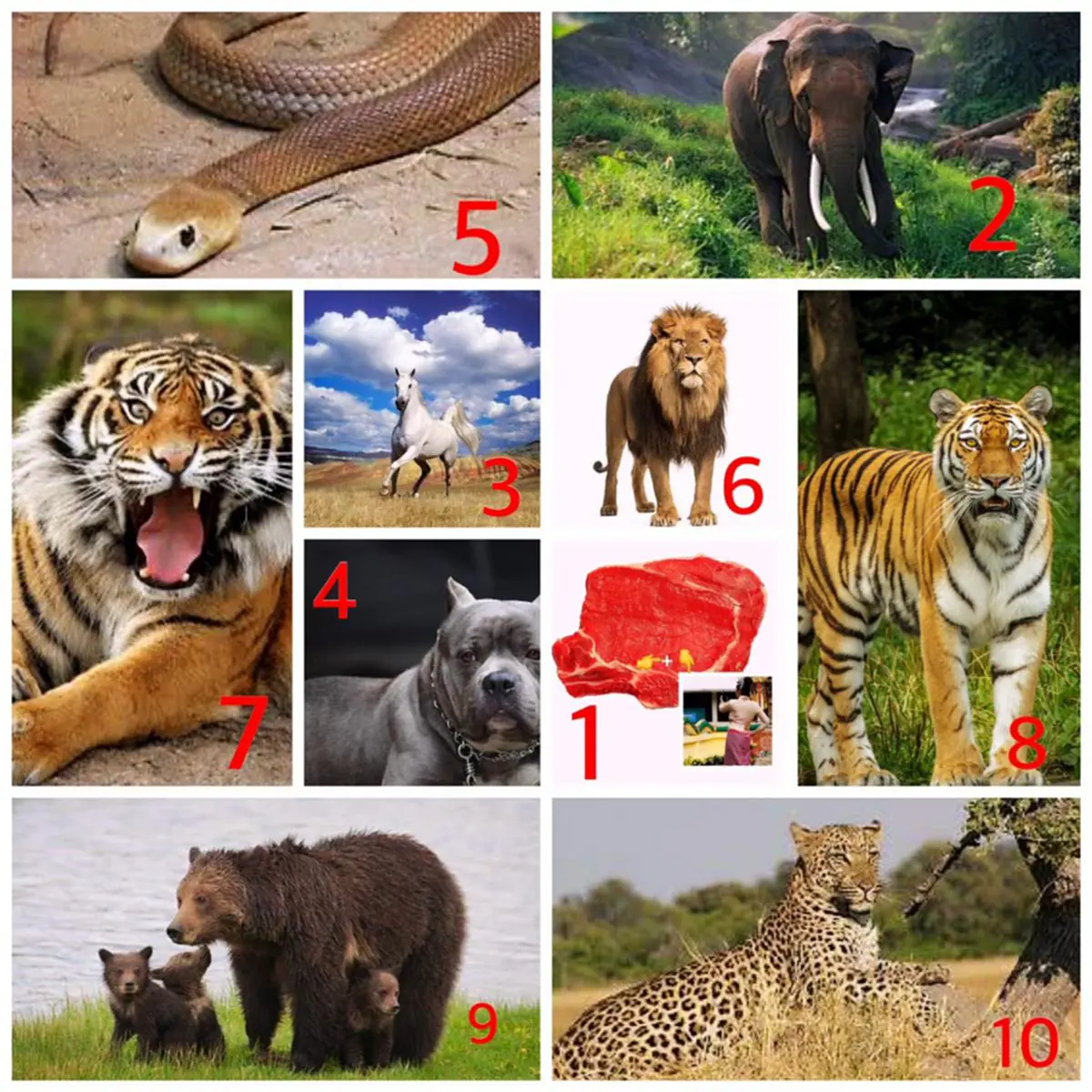 บาปหนักมาก!!ใครไม่รู้รีบอ่านซะ!!”เวลาตักบาตร”ไม่ควรใส่ของ 5 สิ่งนี้เด็ดขาด!!อะไรบ้าง? (อ่านรายละเอียด)