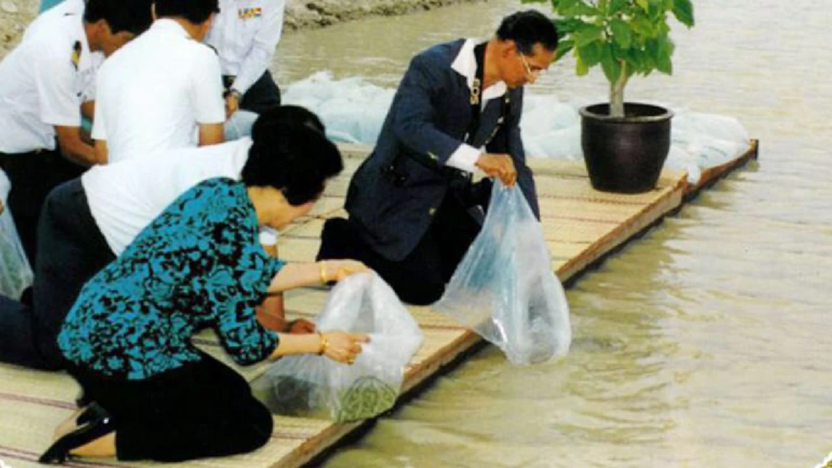 หัวใจหลักของการให้ทานที่ดี..ตัองมีองค์ประกอบครบ 3 ประการ”จึงจะได้รับอานิสงส์ผลบุญสูงสุด..จากความบริสุทธิ์ของทาน!!คืออะไร?(อ่านรายละเอียด)