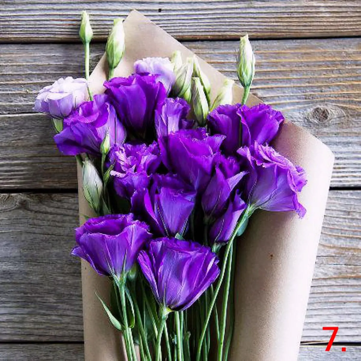 สื่อรัก"วันวาเลนไทน์ Valentine’s Day”ด้วยภาษารักของดอกไม้ 10 ชนิด!!