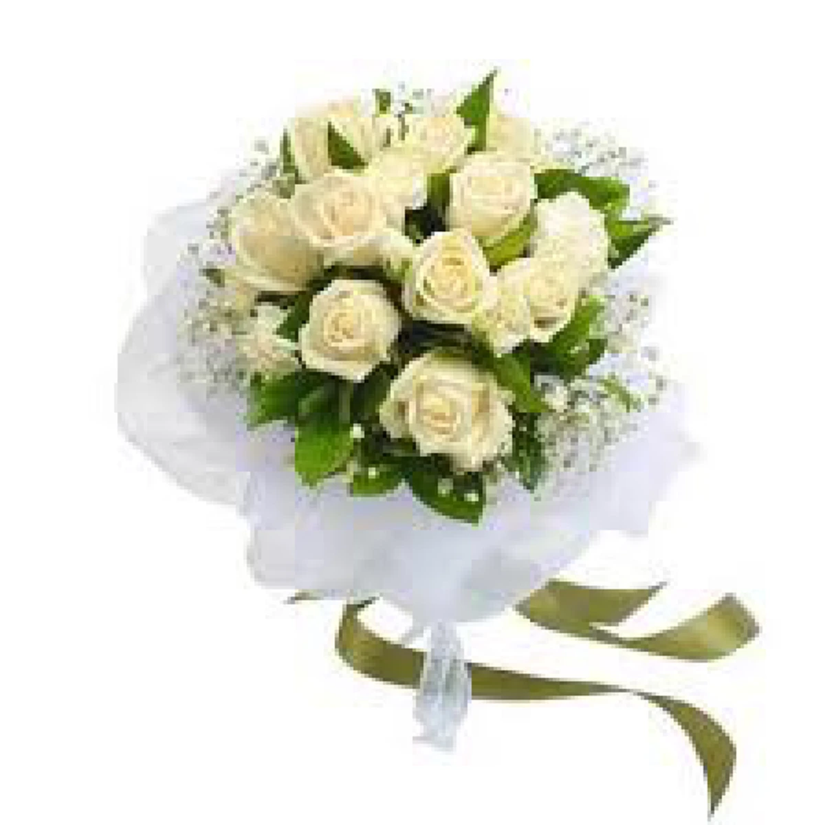 กุหลาบสีขาว