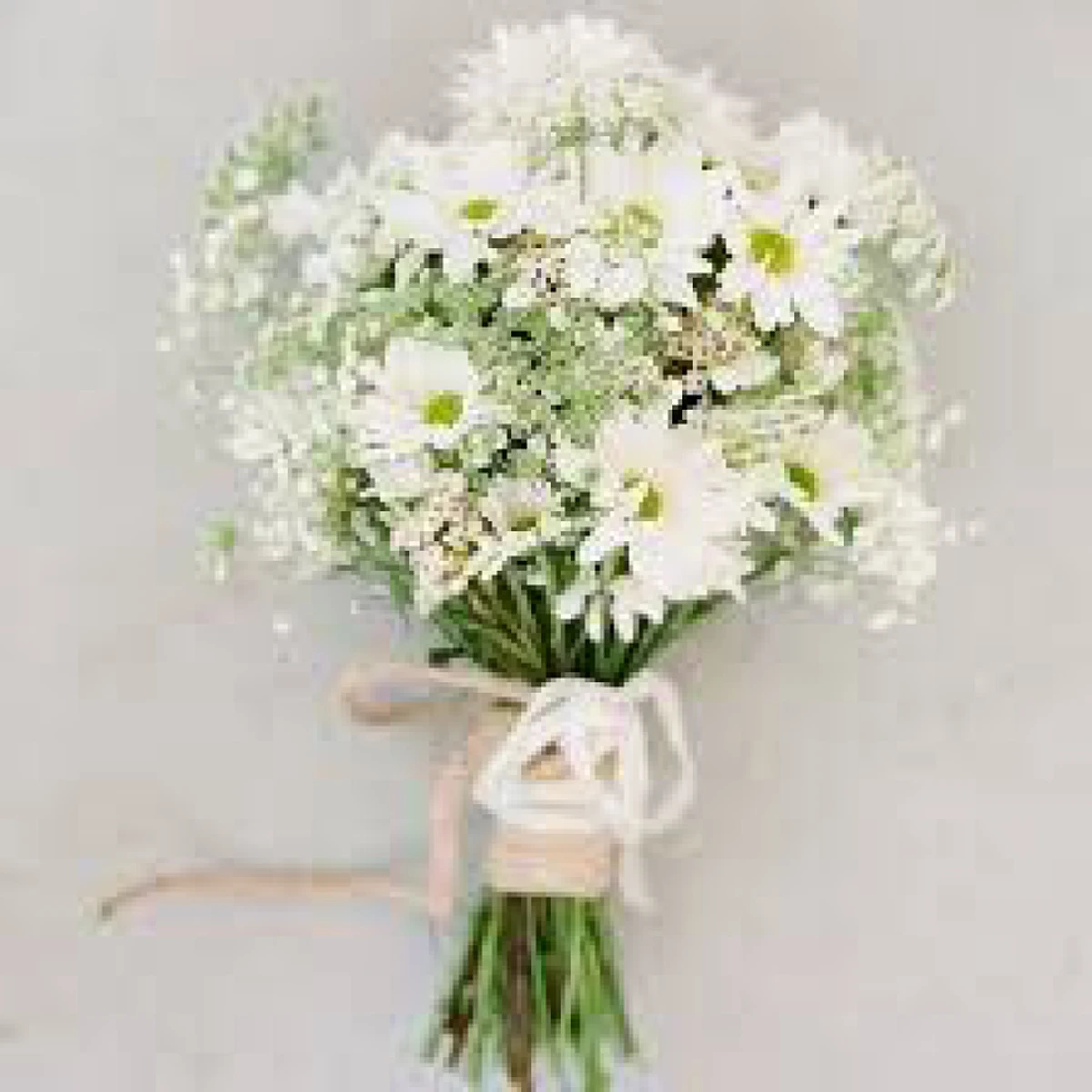 ดอกไม้แต่ละชนิด!! ที่คนทั่วโลกนิยมมอบให้แก่กันใน วันวาเลนไทน์ มีความหมายว่าอย่างไรบ้าง?