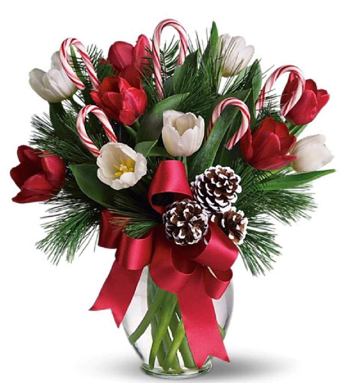 ดอกไม้แต่ละชนิด!! ที่คนทั่วโลกนิยมมอบให้แก่กันใน วันวาเลนไทน์ มีความหมายว่าอย่างไรบ้าง?