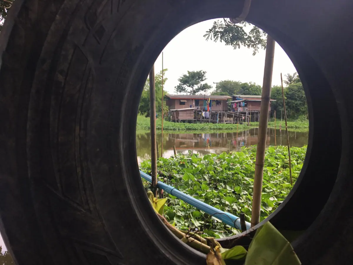 บ้าน ๑,๐๐๐ไม้ cafe&farm   ร้านกาแฟตามรอยในหลวง  สวรรค์ของคนรักต้นไม้ สวนสนุกของทุกคนในครอบครัว