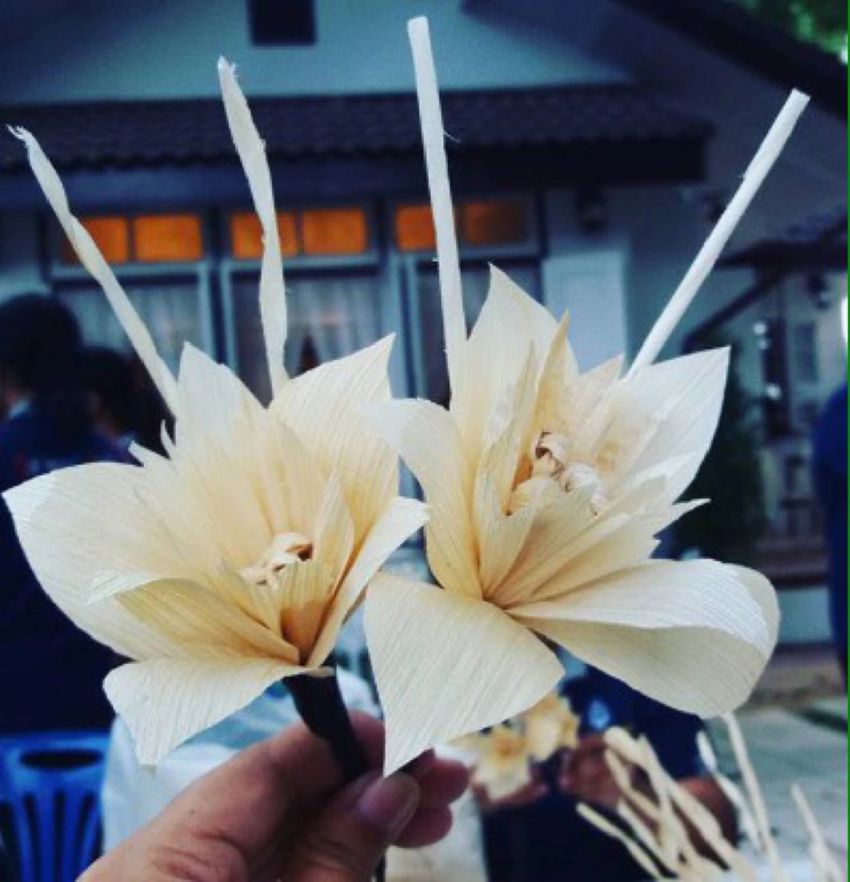 เป็นยิ่งกว่าดอกไม้ !! ความหมายอันลึกซึ้งที่ซ่อนอยู่ใน "ดารารัตน์" ดอกไม้แห่งความรัก และ "ดาวเรือง" ดอกไม้ประจำพระองค์ รัชกาลที่๙