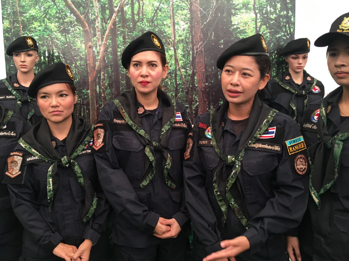 121 ปี กรมป่าไม้ “Forest 4.0 IN Thailand 4.0” เดินหน้าพัฒนาแก้ปัญหาอย่างยั่งยืน