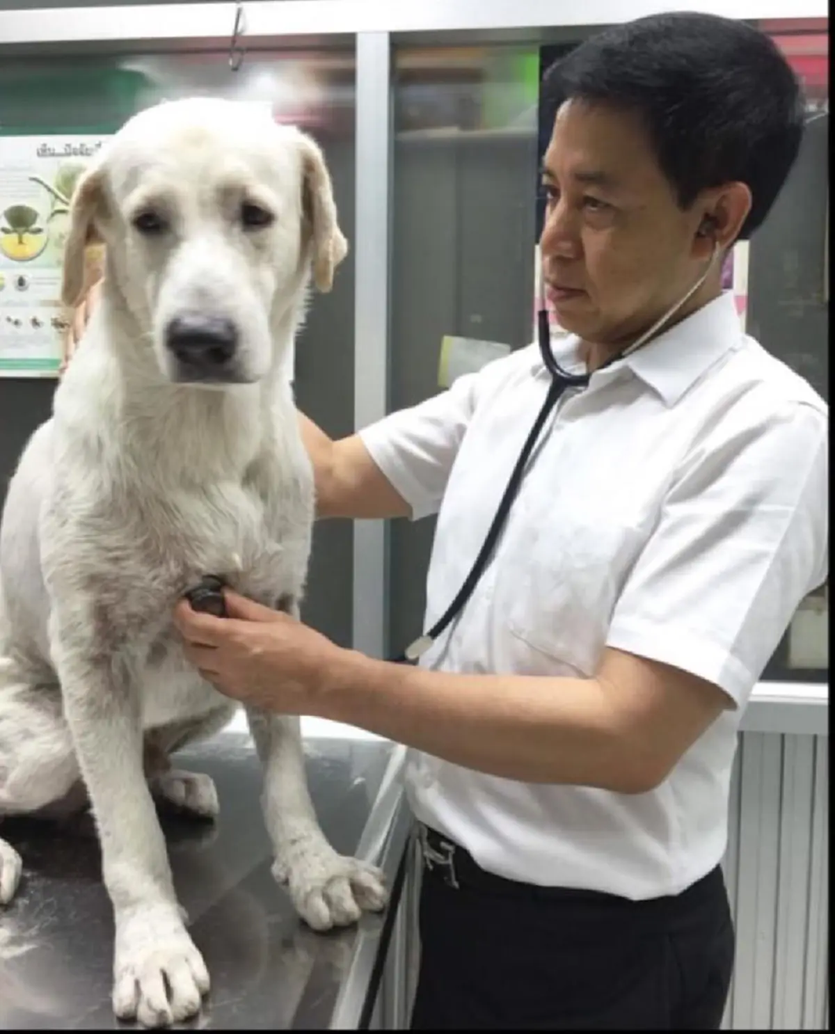 แอบส่อง มุมหวานๆ "เสธ.ไก่อู"... Love เมีย love  her dogs