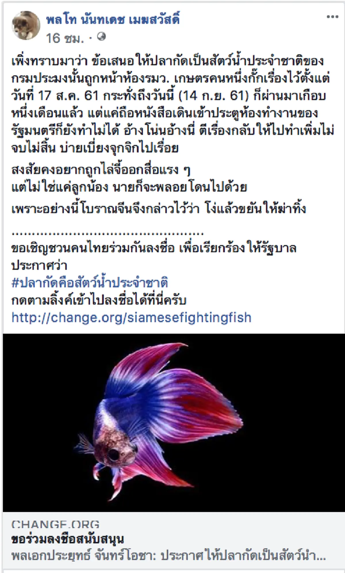 ผ่านไปเป็นเดือนไม่คืบโซเชียลแฉ หน้าห้องรมว.เกษตร ดองเรื่อง ยื่น“ปลากัดเป็นสัตว์น้ำประจำชาติ”  หวั่นต่างชาติ ชิงจดสิทธิบัตร