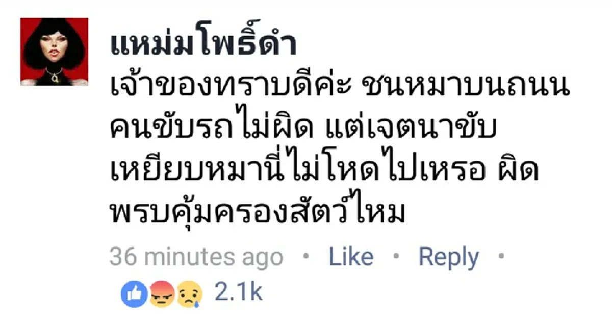 โซเชียลเสียงแตก!! "สาวขายผลไม้" ร้องตูบถูกกระบะเหยียบดิ้นทุรนทุรายจนสิ้นใจ ก่อนกระบะสวนกลับด้วยประโยคเจ็บ..จนชาวเน็ตปรี๊ด!?? (มีคลิป)