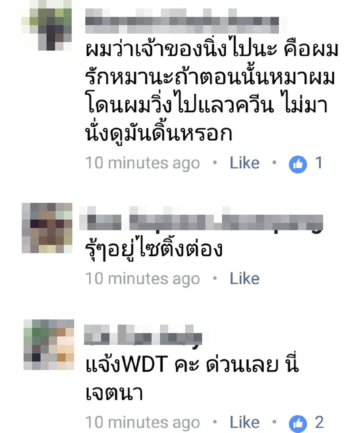โซเชียลเสียงแตก!! "สาวขายผลไม้" ร้องตูบถูกกระบะเหยียบดิ้นทุรนทุรายจนสิ้นใจ ก่อนกระบะสวนกลับด้วยประโยคเจ็บ..จนชาวเน็ตปรี๊ด!?? (มีคลิป)