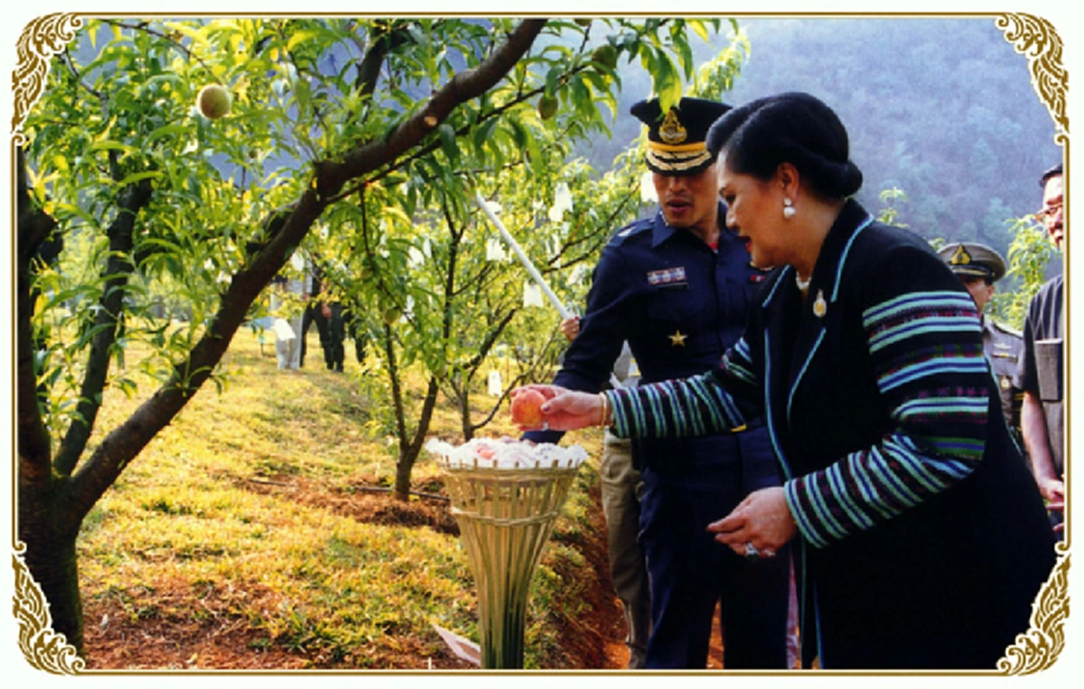 สายใยรักจากลูกถึงแม่!!! เผยกลอนพระราชนิพนธ์ ของ สมเด็จพระเจ้าอยู่หัว รัชกาลที่ ๑๐ ถึงสมเด็จแม่