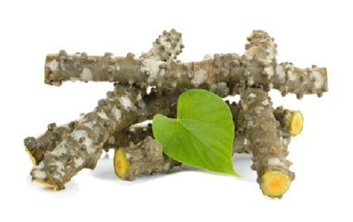 อยากห่างไกลโรคต้องดู!!! รวมสูตรตำรับยาสมุนไพร "หลวงปู่ศุข" แก้โรคมะเร็ง ปวดเมื่อย เบาหวาน เห็นผลชะงัดทันตา รู้แล้วรีบแชร์ด่วน