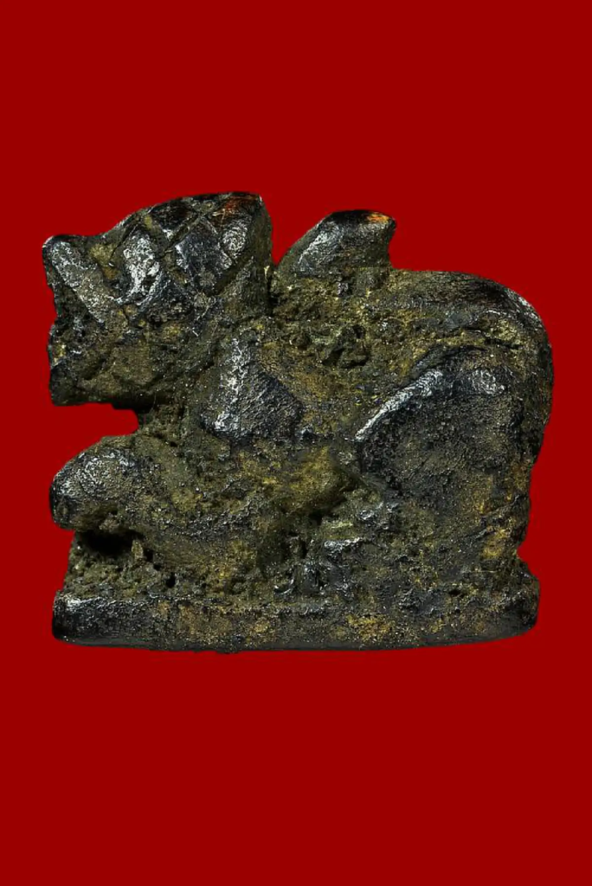 ตะมัตถัง ปะกาเสนโต ตัวกูคือพระยาราชสีโห..คาถาหัวใจราชสีห์ "หลวงปู่บุญ วัดกลางบางแก้ว"เป็นมหาอำนาจ ผู้คนเห็นหน้าต่างเกรงกลัว ตบะกล้าแกร่ง..