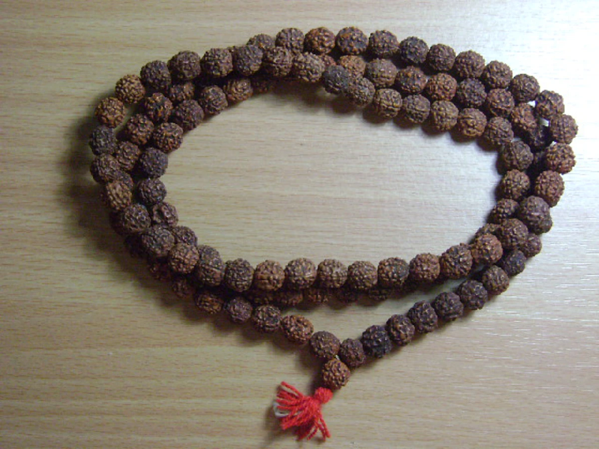 ตำนานแห่งเมล็ดพืชมงคล “รุทรักษะ หรือ น้ำตาพระศิวะ”เชื่อว่าหากผู้ใดสวมใส่ จะไม่ถูก ภูติผี วิญญาณร้าย รบกวน สุขภาพแข็งแรง..