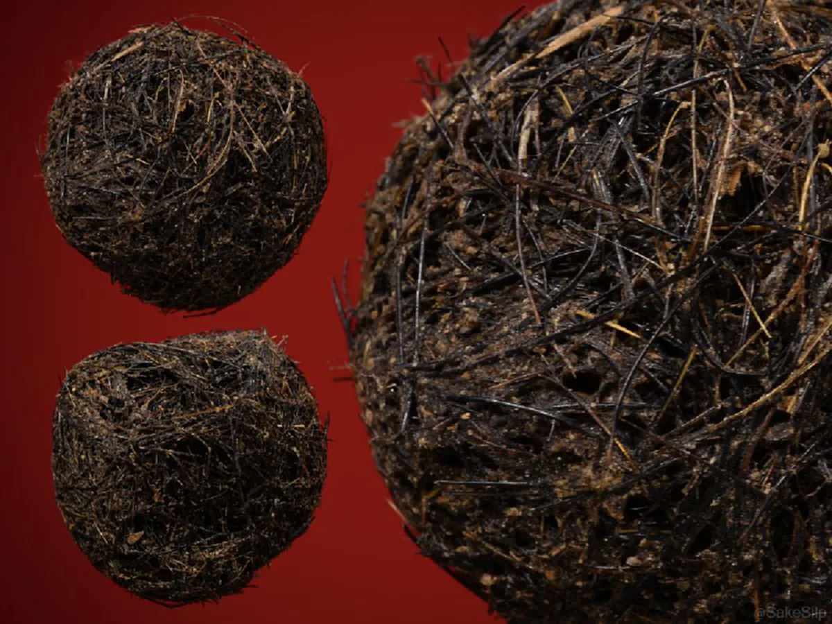 หมูป่าโทนจะอยู่ตัวเดียวอย่างทระนง มีขนเหนือสันหลังขึ้นมาถึงโหนกคอยาวเป็นพิเศษ "ช้องหมูป่า"มีอิทธิฤทธิ์ด้านคงกระพันมหาอุด