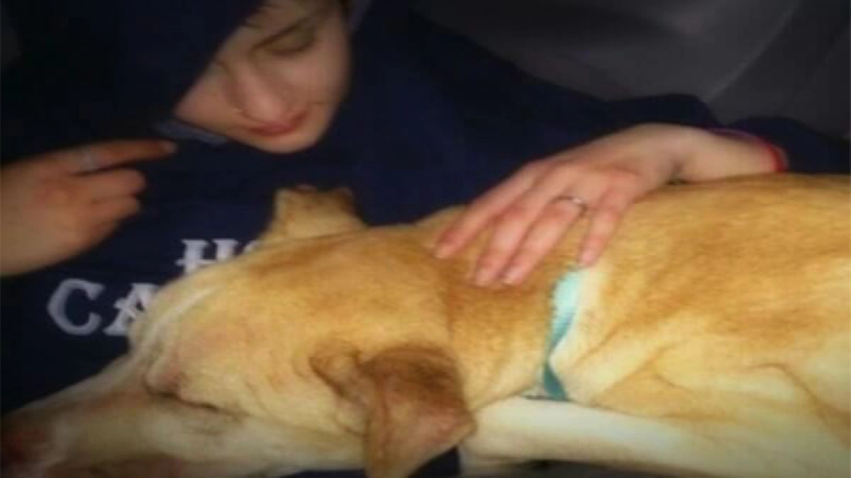 พูดไม่ออก!! สาวแกล้งเป็นลมนอนเจ็บหนัก เพื่อดูปฏิกิริยาว่าหมาจรจัดที่เขาลือกันว่าดุร้ายจะทำยังไงกับเธอทำเอาน้ำตาไหลไม่หยุด!!