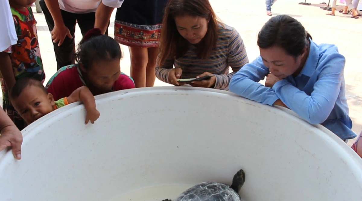 มาแล้วเลขดังพญาเต่างอย!!!ชาวบ้านแห่ไหว้แน่นลานพญาเต่างอยเสียงอื้ออึงเมื่อมีคนฝันว่าพญาเต่างอยไปบอกสองตัวตรง!!งวดนี้เลขอาจมีเบิ้ล