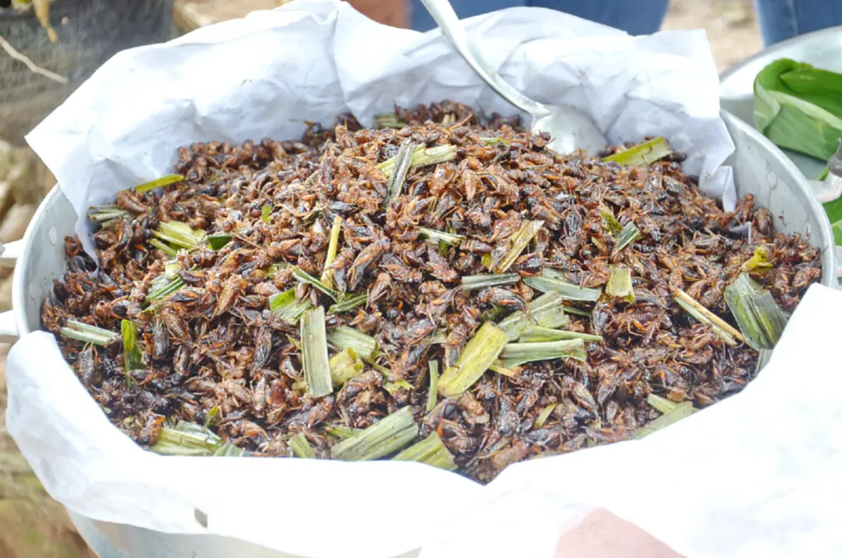 ที่ท่องเที่ยวแห่งใหม่ในจังหวัดจันทบุรี แบบ “วิถีไทย” พร้อมเรียนรู้วิถีชุมชนเศรษฐกิจพอเพียง
