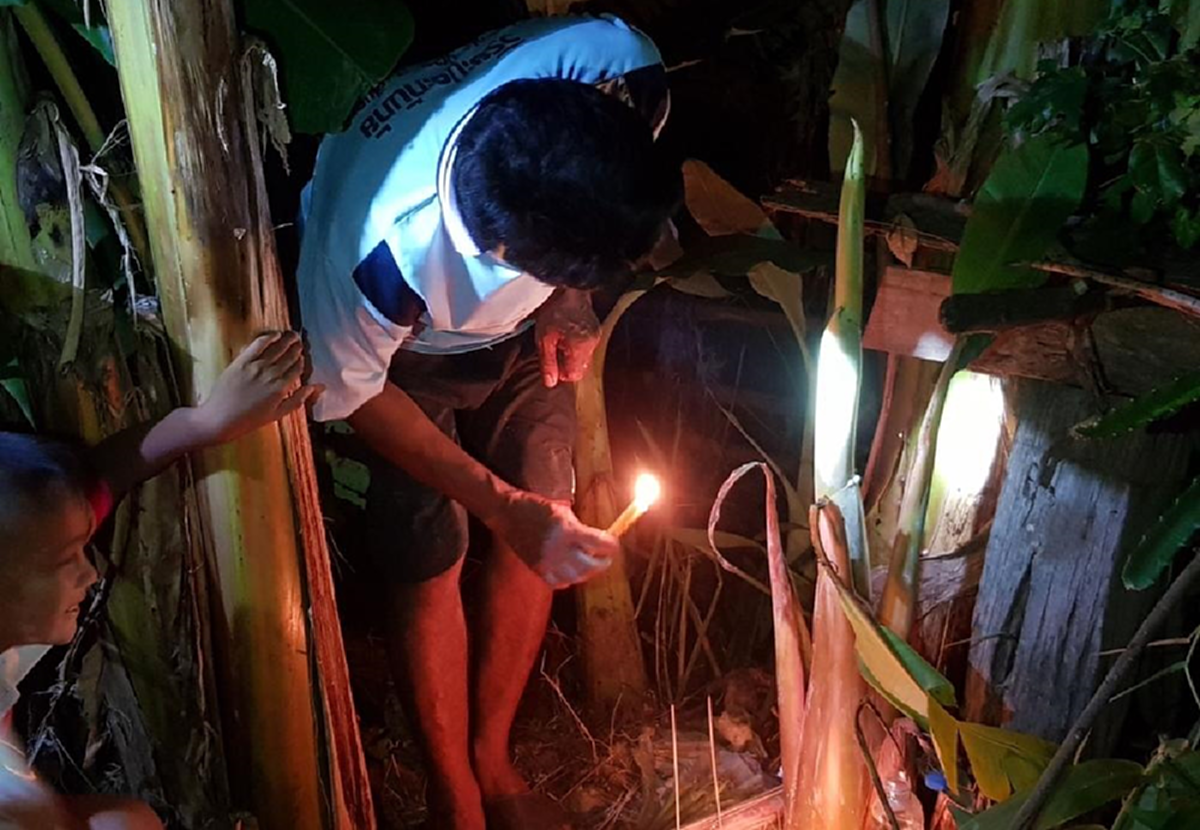 คุณตาประหลาดใจ ต้นกล้วยแปลกผุดขึ้นในสวน คอหวยไม่พลาดแห่ส่องเลขเด็ด